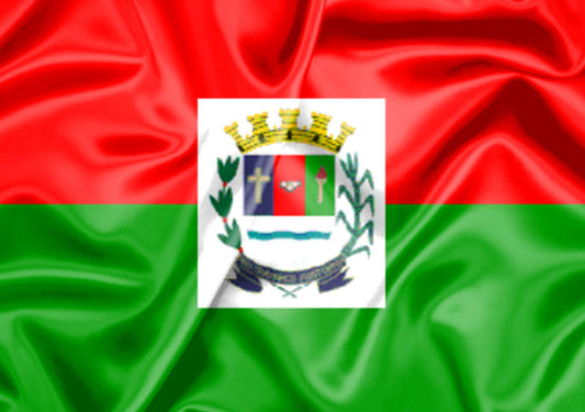 Imagem da Bandeira Cravinhos