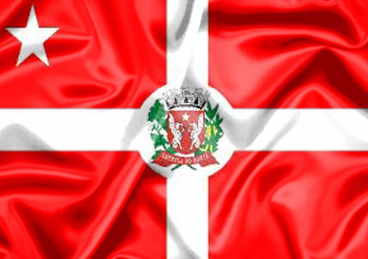 Imagem da Bandeira Estrela do Norte
