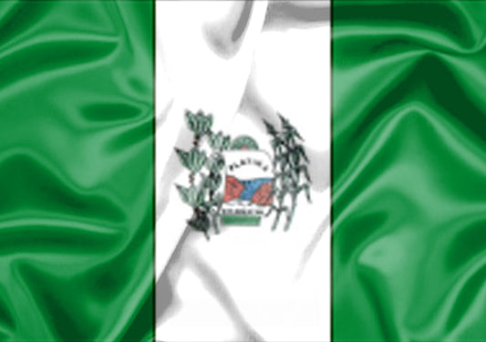 Imagem da Bandeira Platina