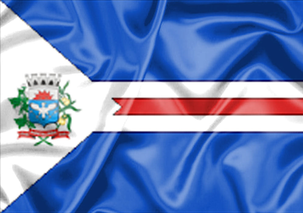 Imagem da Bandeira Pontalina