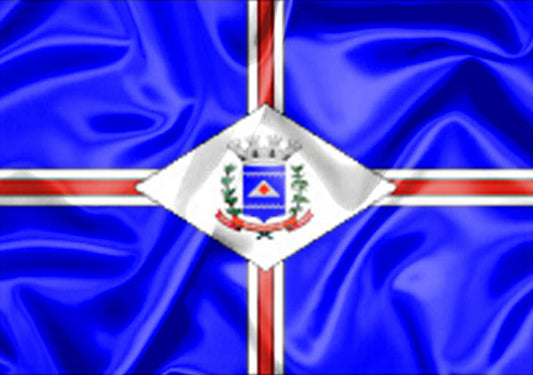Imagem da Bandeira Rinópolis