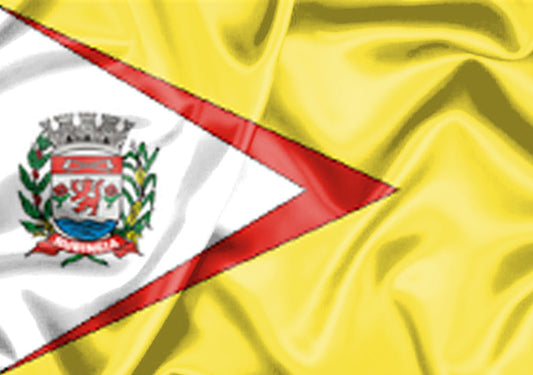 Imagem da Bandeira Rubinéia