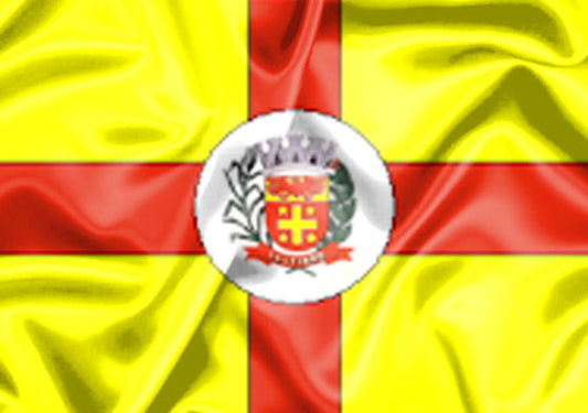 Imagem da Bandeira Saltinho