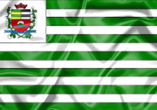 Imagem da Bandeira Santo Anastácio