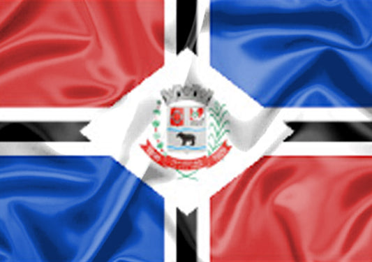 Imagem da Bandeira Tapira