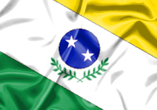Imagem da Bandeira Taquarivaí