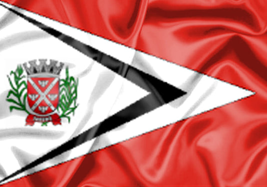 Imagem da Bandeira Tarumã
