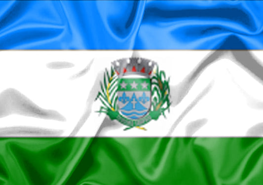 Imagem da Bandeira Teodoro Sampaio