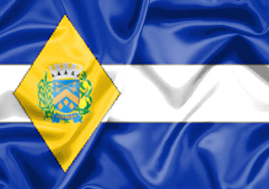 Imagem da Bandeira Ubarana