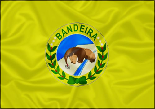 Imagem da Bandeira Bandeira