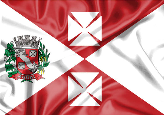 Imagem da Bandeira Aguaí