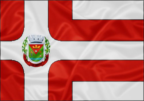 Imagem da Bandeira Bias Fortes