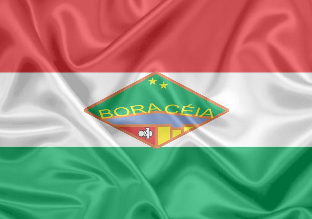 Imagem da Bandeira Boracéia