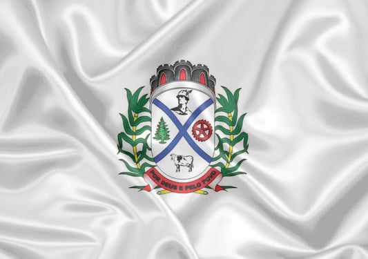 Imagem da Bandeira Borebi