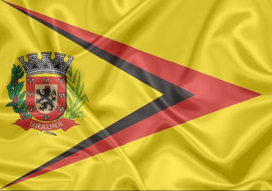 Imagem da Bandeira Braúna