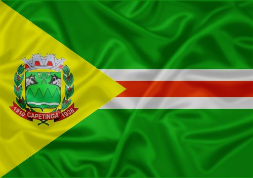Imagem da Bandeira Capetinga