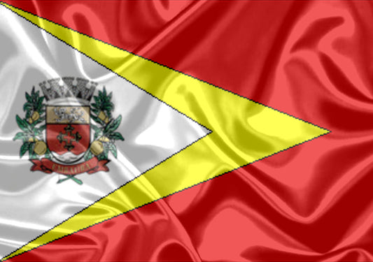 Imagem da Bandeira Embaúba