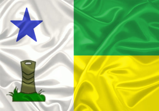 Imagem da Bandeira Feijó