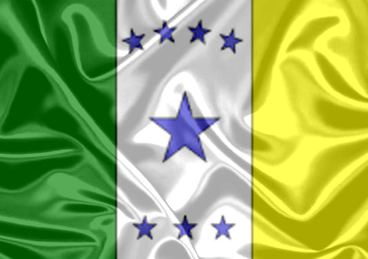 Imagem da Bandeira Flora Rica