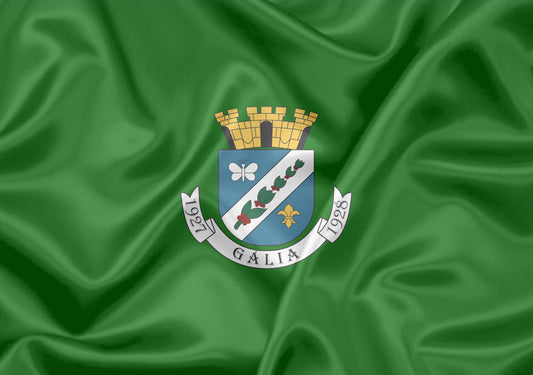 Imagem da Bandeira Gália