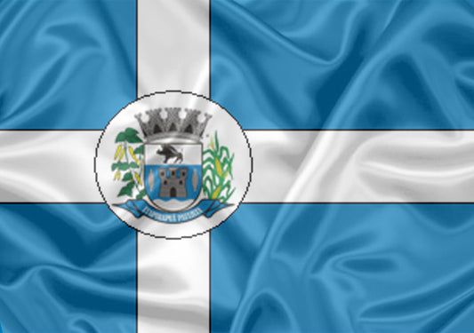 Imagem da Bandeira Itapirapuã