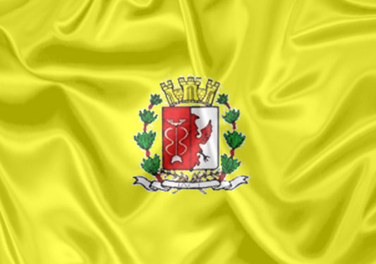Imagem da Bandeira Jaci