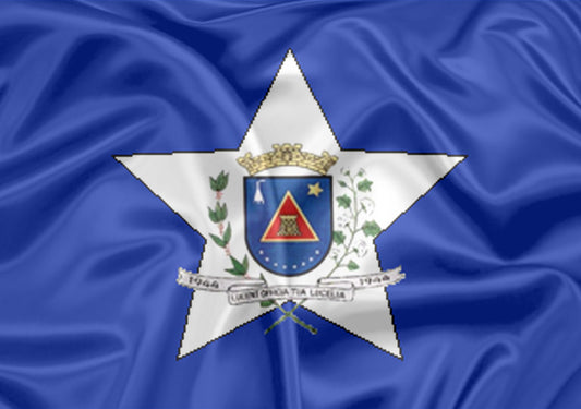 Imagem da Bandeira Lucélia