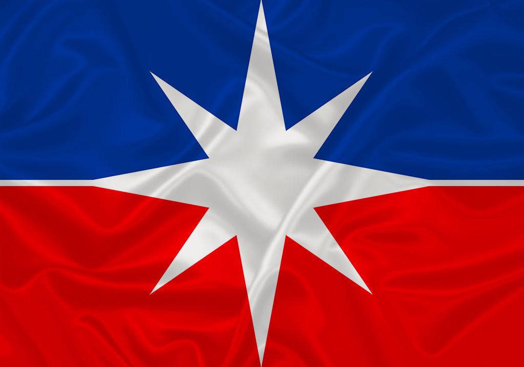 Imagem da Bandeira Luís Eduardo Magalhães