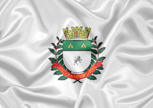 Imagem da Bandeira Manduri