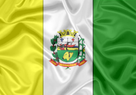 Imagem da Bandeira Monções