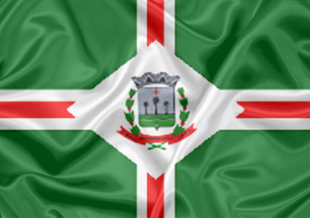Imagem da Bandeira Murutinga do Sul