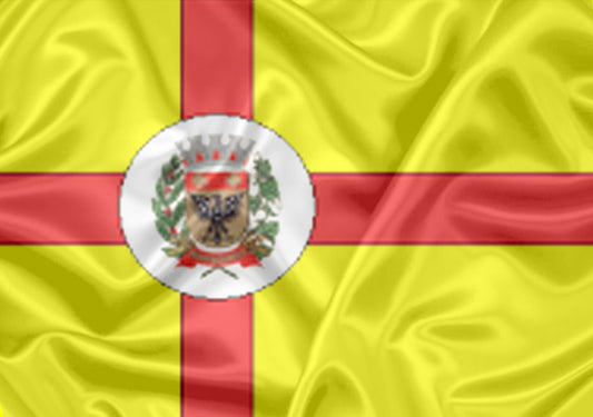 Imagem da Bandeira Nhandeara