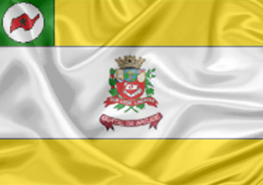 Imagem da Bandeira Novo Horizonte