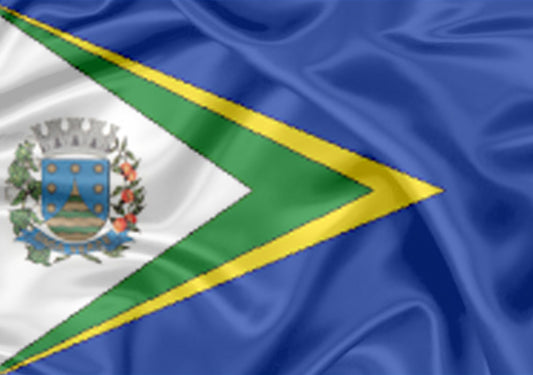 Imagem da Bandeira Onda Verde