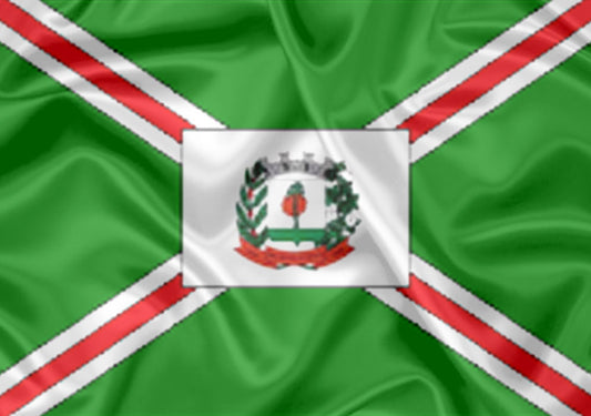 Imagem da Bandeira Palmeira d'Oeste