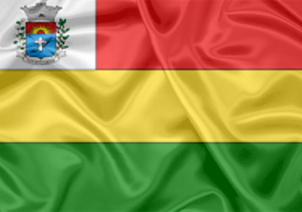 Imagem da Bandeira Paraguaçu