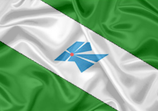 Imagem da Bandeira Parapuã