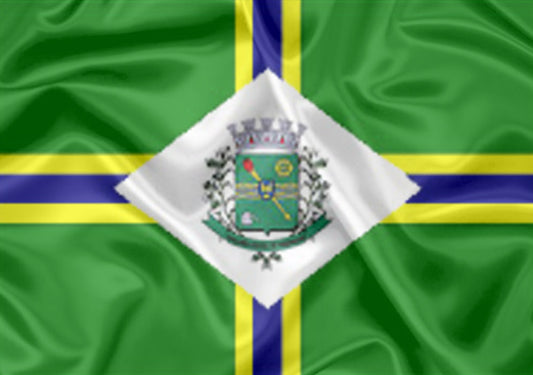Imagem da Bandeira Paulínia