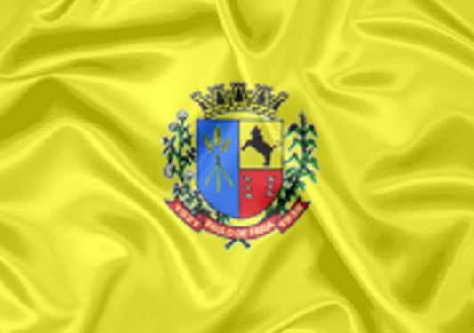 Imagem da Bandeira Paulo de Faria