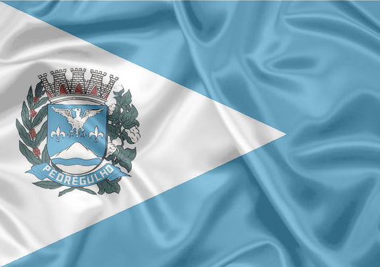 Imagem da Bandeira Pedregulho