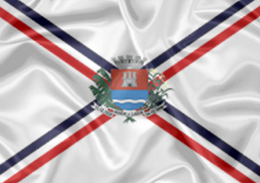 Imagem da Bandeira Pedro de Toledo