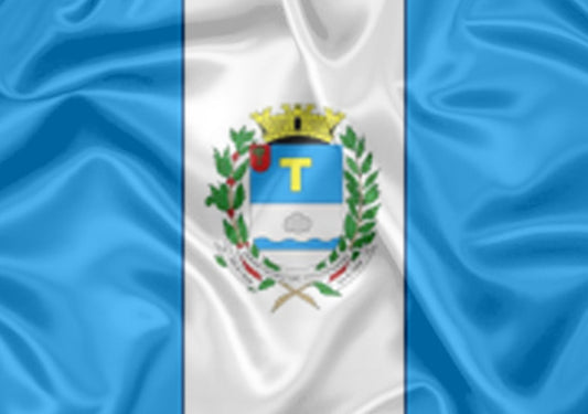 Imagem da Bandeira Piracaia