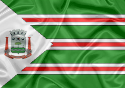 Imagem da Bandeira Pitangueiras