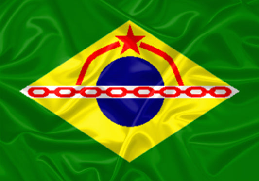Imagem da Bandeira Plácido de Castro