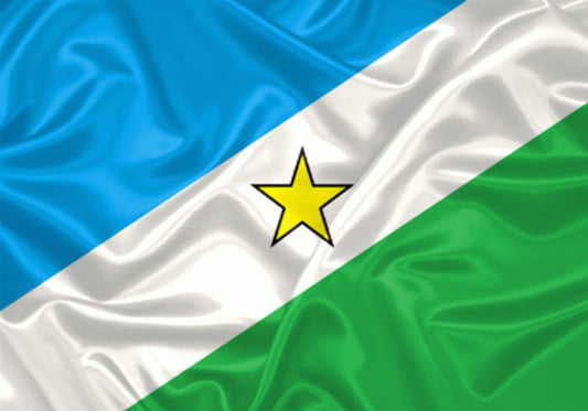 Imagem da Bandeira Porto Walter