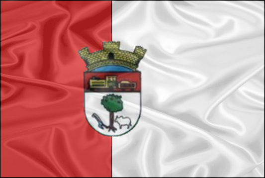 Imagem da Bandeira Presidente Venceslau