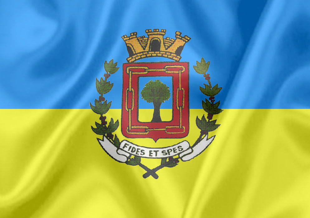 Imagem da Bandeira São João do Pau d'Alho