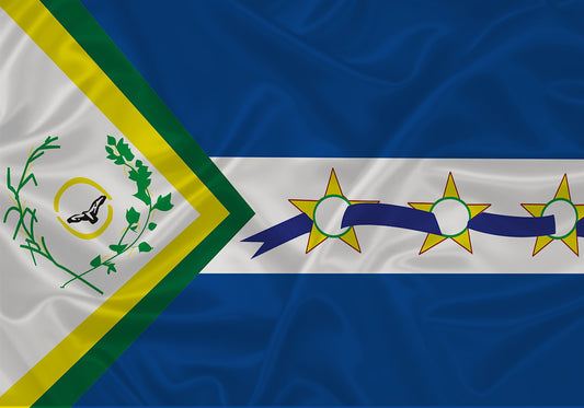 Imagem da Bandeira São João d'Aliança