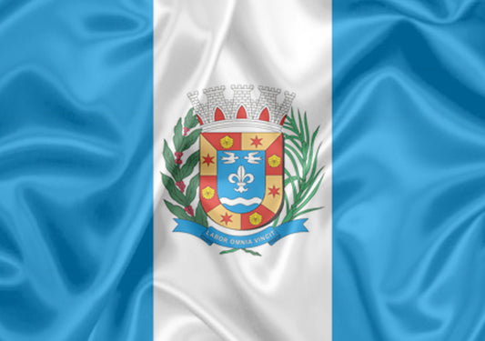 Imagem da Bandeira Salto