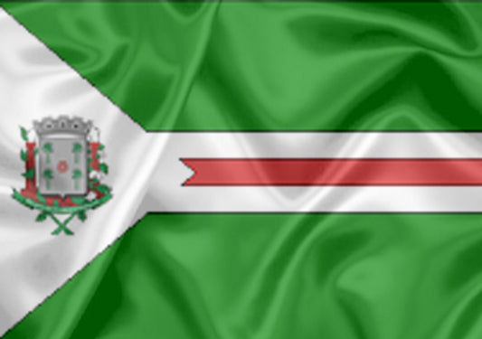Imagem da Bandeira Santa Cruz das Palmeiras